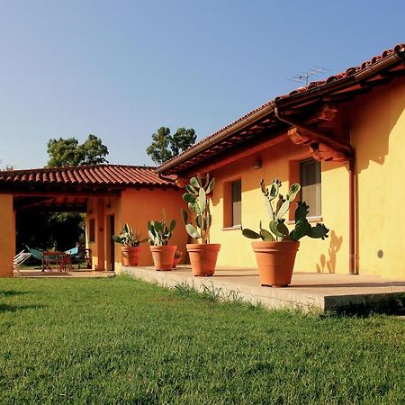 Le Pettegole Del Boschetto Villa Castiglione della Pescaia Luaran gambar