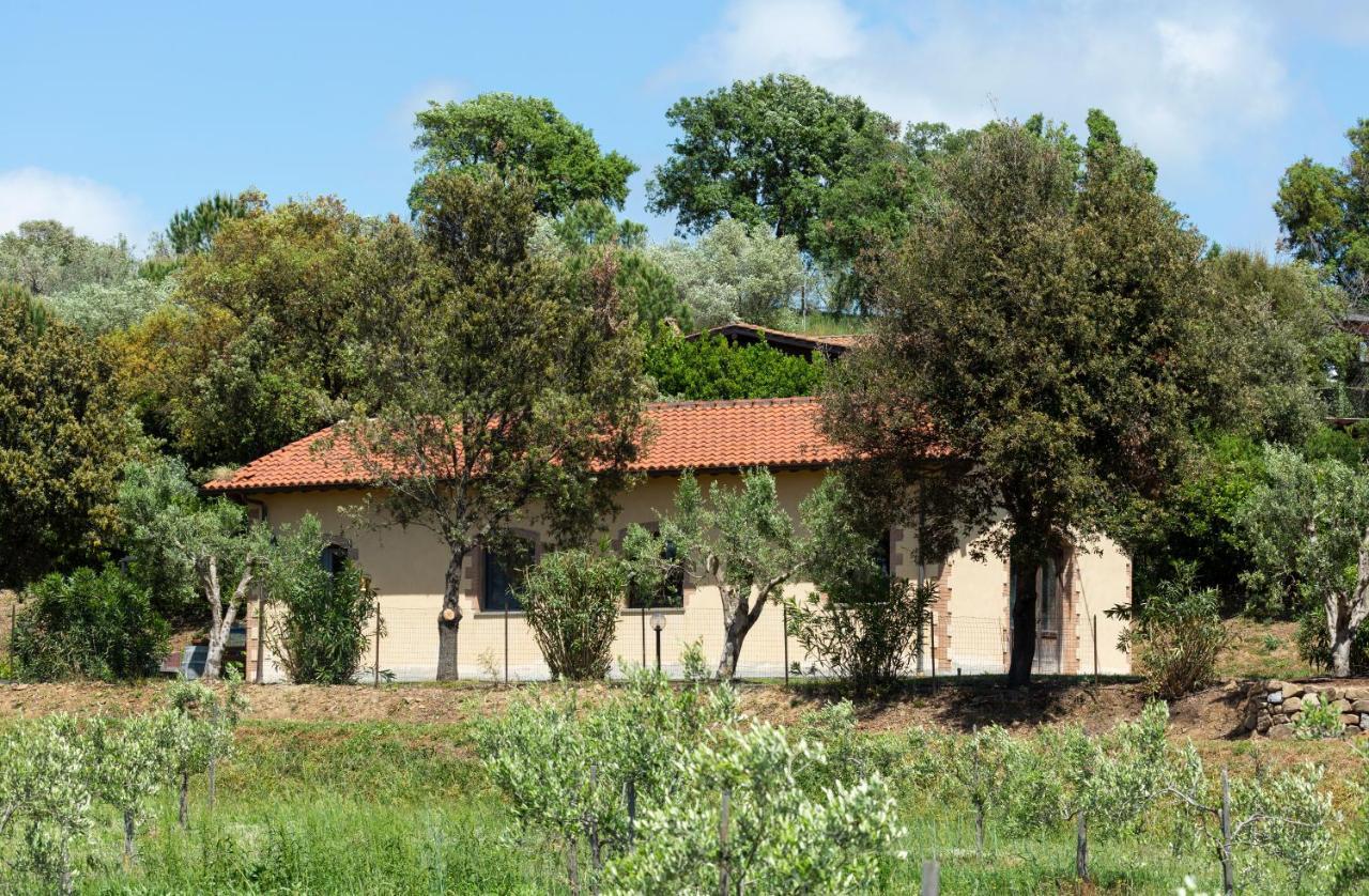 Le Pettegole Del Boschetto Villa Castiglione della Pescaia Luaran gambar